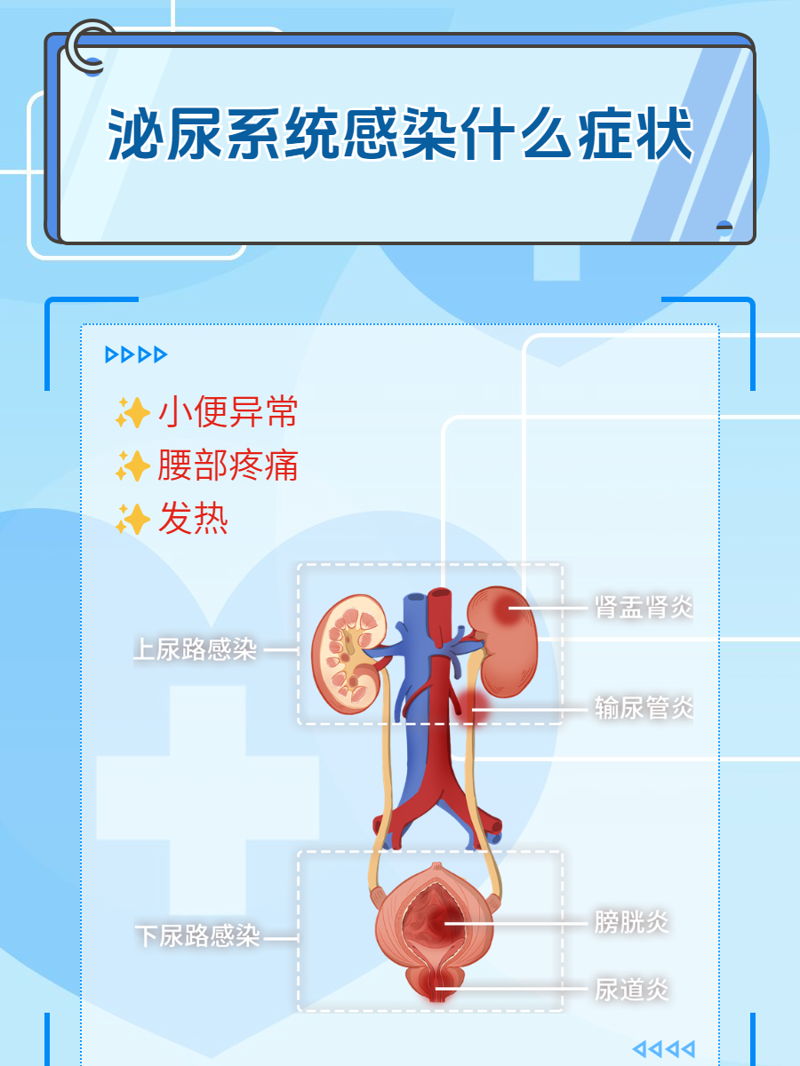 前列腺病究竟是怎么回事？男性朋友们真的了解吗？